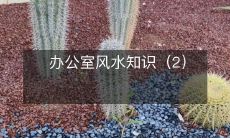 办公室风水知识(2)