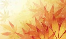 2023年3月28日适合出行吗 外出游玩好不好