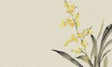 良辰吉日查询：2022虎年生肖属兔在1月新店开张吉利日期