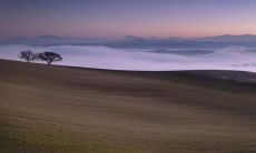 2023癸卯年哪些人好运 八字为木运气好