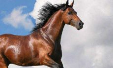 2022年8月生肖属马人偏财运好吗