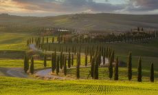 2023年红鸾星动的八字是哪些 出生日干的人家庭美满