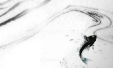 男方办订婚宴女方要准备什么 得体穿着与回礼