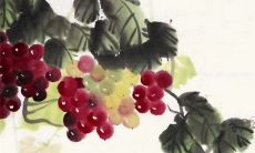 结婚抱鸡必定是男孩吗 男童抱鸡寓意更吉