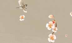 订婚要把彩礼一起给吗 各个地区习俗不同