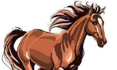 属马的和什么属相最配,属马男女婚配表