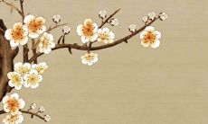 纳婿和招赘有什么不一样 纳婿是什么意思