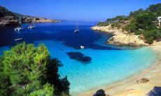 强海文姓名评分91分