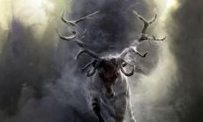 李权怒姓名评分83分