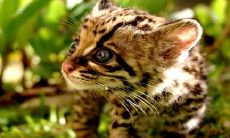 莫玉宇姓名评分97分