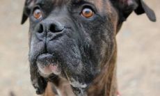 阮希燕姓名评分86分