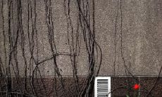 成艳婷姓名评分79分