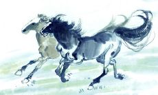 属马人会因为什么而不想结婚