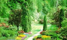 时书之姓名评分86分