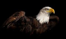 秦宏雷姓名评分72分