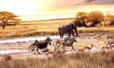 路子超姓名评分93分