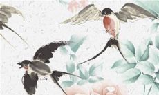 2023黑兔年百年一遇 黑兔年几月出生好