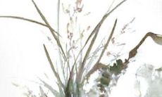 2023年1月23日出生的属兔男孩是什么命 财库丰足婚姻美满