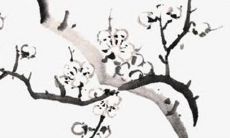 2023年1月22日春节出生的女孩命运如何 艺术细胞魅力出众