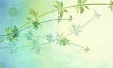 2023年1月24日出生的女宝宝命好吗 事业顺利福气满满