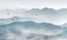 2021年二月出生的宝宝是什么命 五行是什么