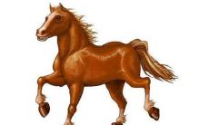 属马的78年财运和其他运势都是全面的分析。