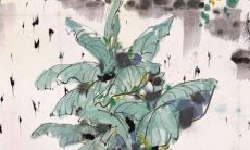 2021属牛几月出生的最好命运