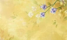 2023兔年1月25日出生的女孩是什么命 聪明灵秀官运亨通