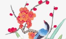 2021年牛宝宝忌父母的属相有哪些