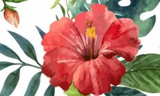 2022年生子吉日 诞子上等佳期吉日吉时