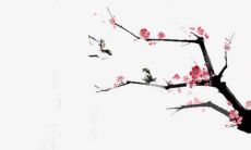 2021年牛宝宝出生月份详情分析