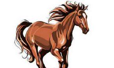 1990年属马人一生有几次婚姻