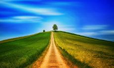 2023年春节期生肖马幸运颜色和幸运数字怎么选择