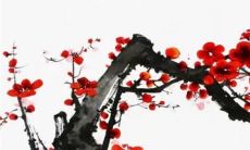 订婚要谈哪些事情 结婚所需要的东西