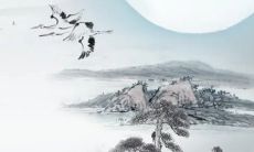 本命年结婚会怎么样 容易让自己运势下滑