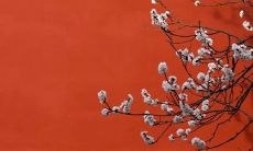 2021年新历12月宜开张的最佳日子 注意规避今日所冲