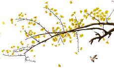 2021年12月21日宜开张开业吗 店铺开张合适吗