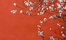 2021年12月开张做生意利日查询 以下几天是吉日