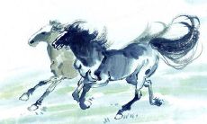 属马的男人花心吗