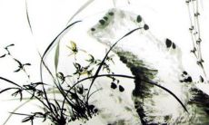 五行缺木的男孩名字 契合五行补木起男宝宝高分美名