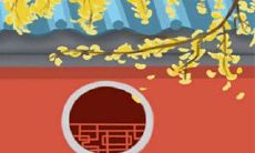 怎么识别自己的眼型？眼型图片参照