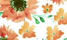 2023年2月27日宜远行吗 出行吉日查询