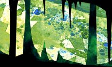 麒麟之子一般生在几月 二月出生的人一生的钱财都用不尽