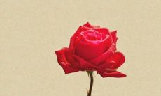 2023年2月18日适合出门游玩吗 出行日子查询