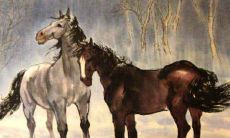 什么生肖最旺马 旺属马的是什么生肖