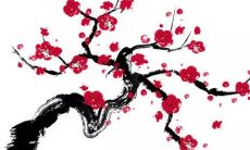 2023年2月25日可以出门吗 是出行上等吉日吗