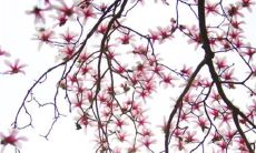 2023年2月16日适合出门吗 是出行吉日吗