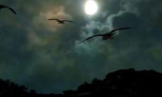 极富极贵的特殊八字格局 杀印相生混的风生水起