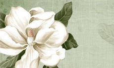 2023年2月21日龙头节宜出行吗 是外出吉日吗