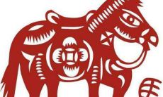 2022年属马偏财运好吗 有外财收入么